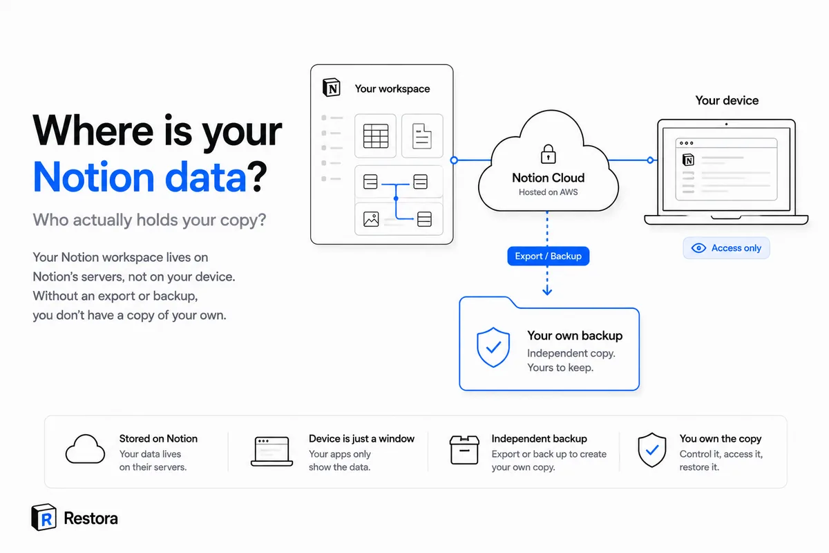 Where Notion stores your data, and how to get a copy out